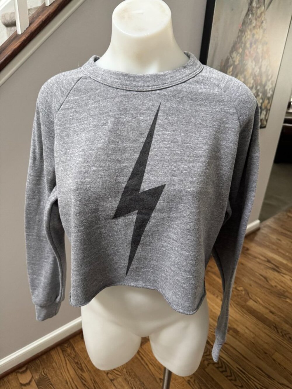 Aviator Nation Bolt Crop Sweatshirt Grey Black Size Small